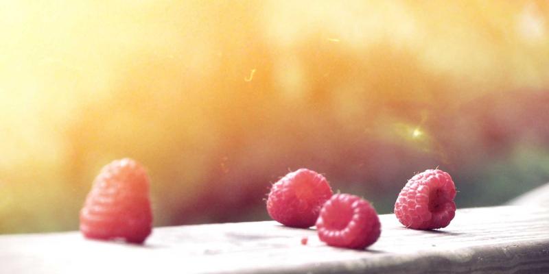 如何科学评估河北卓越机电产品的能效与可靠性？自动化设备选型指南