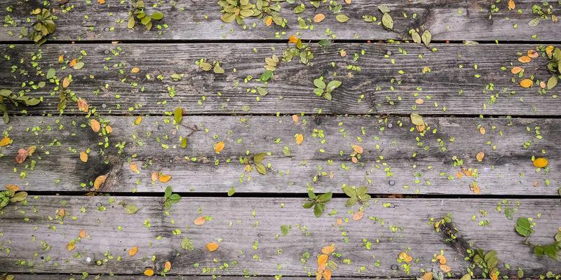 智慧农业灌溉革命：河北卓越机电的泵阀智能控制一体化解决方案