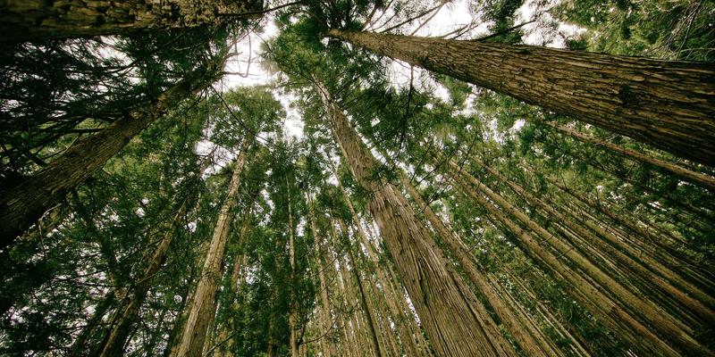 河北卓越机电16：以创新工业解决方案，驱动泵阀与传动系统效能跃升