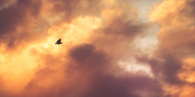 河北卓越机电46：以专业工业解决方案驱动产业升级