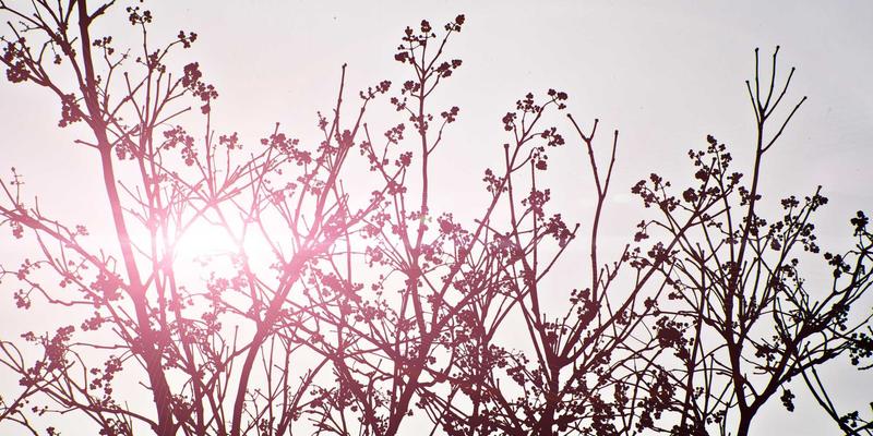 河北卓越机电94：深耕泵阀与自动化设备领域的卓越力量