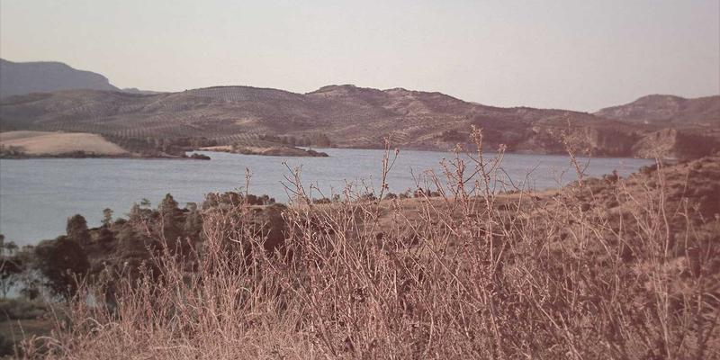 河北卓越机电：为钢铁行业打造高效传动与节能改造的自动化解决方案