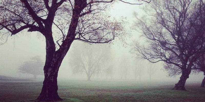 河北卓越机电：基于AI预测性维护的工业电机与传动系统健康管理新范式