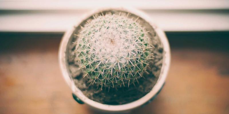 河北卓越机电：泵阀与机电产品领域的卓越实践与创新之路