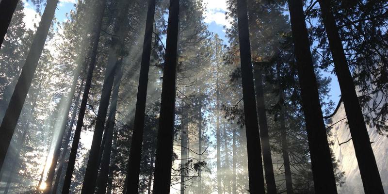 河北卓越机电：纺织车间空调除尘与温湿度精准控制的自动化系统集成方案