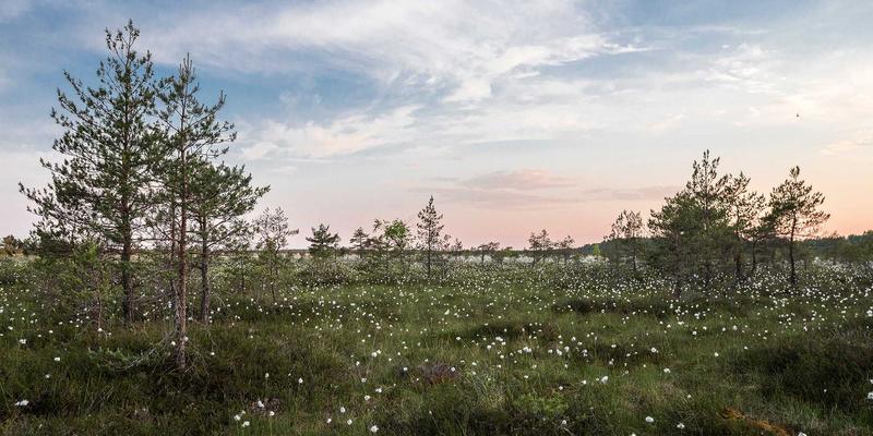 食品饮料行业无菌灌装线：工业设备与自动化设备的卫生级流体处理整体方案